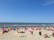 Солнечный день на голландской природе
